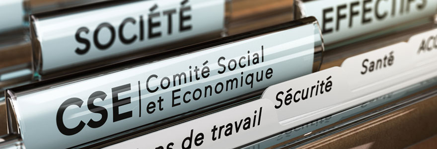 Comité Social et Economique